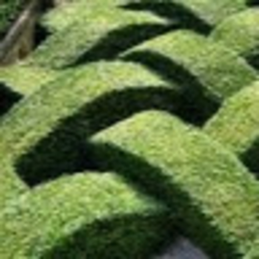 Meet your Posher, Kelley